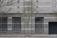 blog photo titled precedent