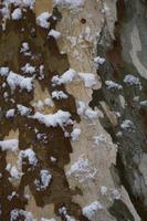blog photo titled topographical