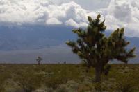 blog photo titled muntner