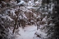 blog photo titled inertia