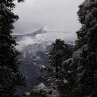 blog photo titled demoted