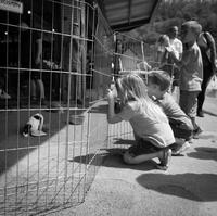 blog photo titled jelly