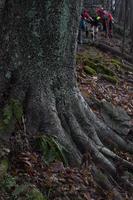 blog photo titled toes