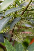 blog photo titled admirable