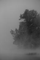 blog photo titled sardonic