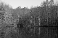 blog photo titled asperse