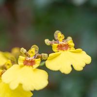 blog photo titled hold