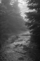 blog photo titled vanish