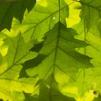 blog photo titled layered