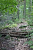 blog photo titled sufficient