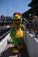 blog photo titled enthusiast