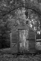 blog photo titled shapes