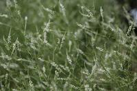 blog photo titled again