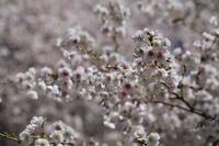 blog photo titled evil