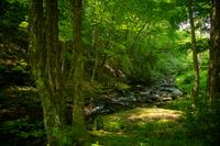 blog photo titled interruptious