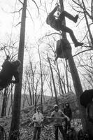 blog photo titled labors
