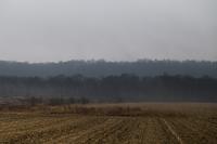 blog photo titled rusty