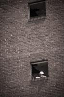 blog photo titled jubilation