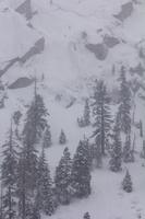 blog photo titled petering