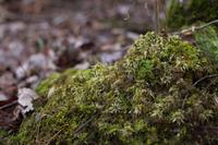 blog photo titled recollection