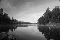 blog photo titled tremulous