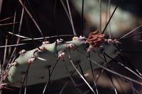 blog photo titled seeing