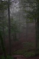 blog photo titled lazybones