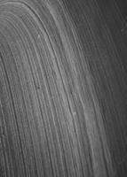 blog photo titled blonde