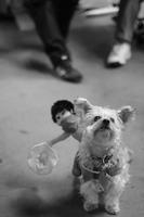 blog photo titled treatment