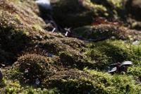 blog photo titled travesty