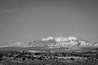 blog photo titled serenade