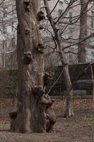 blog photo titled warts