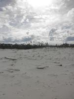 blog photo titled declare