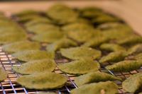 blog photo titled ravioli