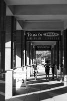 blog photo titled serendipitous