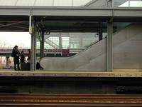 blog photo titled repeated