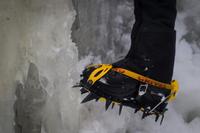 blog photo titled boll