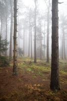 blog photo titled transduce