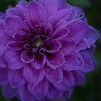 blog photo titled october