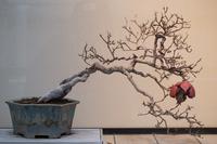 blog photo titled annalist