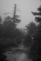 blog photo titled haze