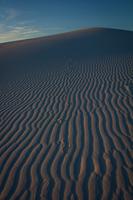 blog photo titled tigris