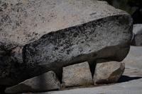 blog photo titled toothy