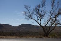 blog photo titled mirrorational