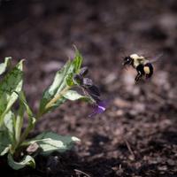 blog photo titled overworked