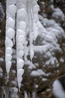 blog photo titled recast