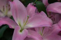 blog photo titled inescapable