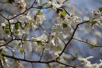 blog photo titled strance