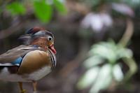 blog photo titled stellenbosch