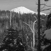 blog photo titled dinnertime